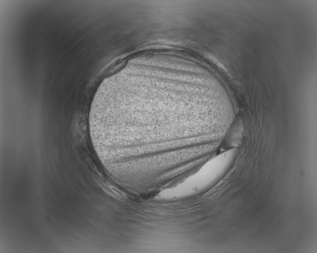 X0000075381355200610061828