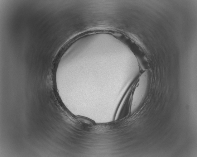 X0000075381356200610061828