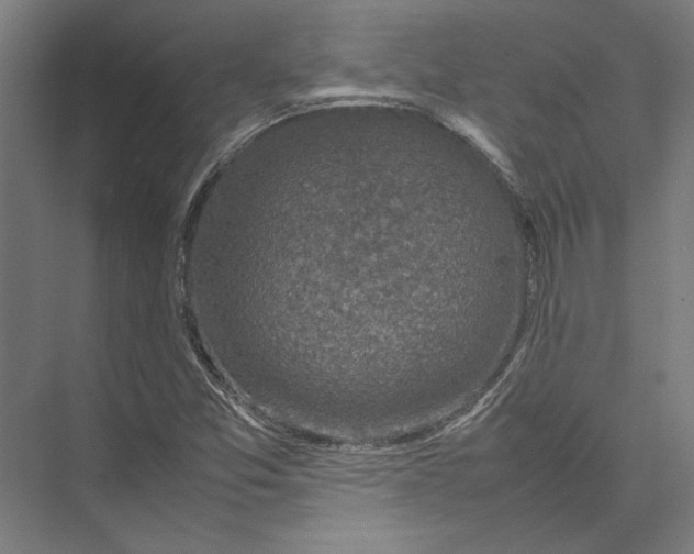 X0000075381357200610061828