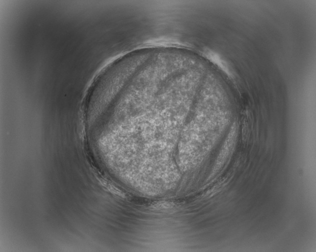 X0000075381358200610061828