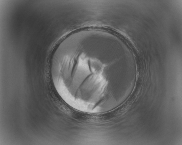 X0000075381359200610061828