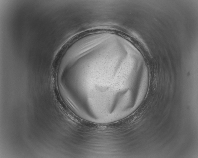 X0000075381360200610061828