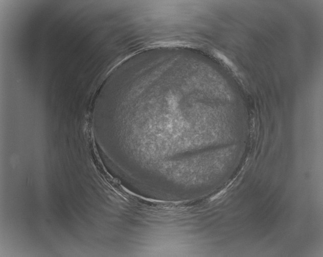 X0000075381361200610061828