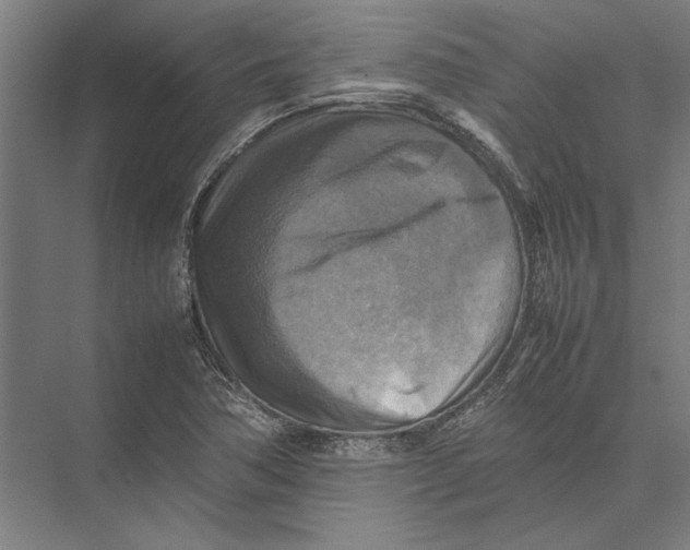 X0000075381362200610061828