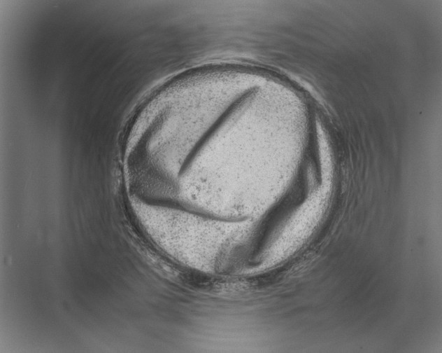 X0000075381363200610061828