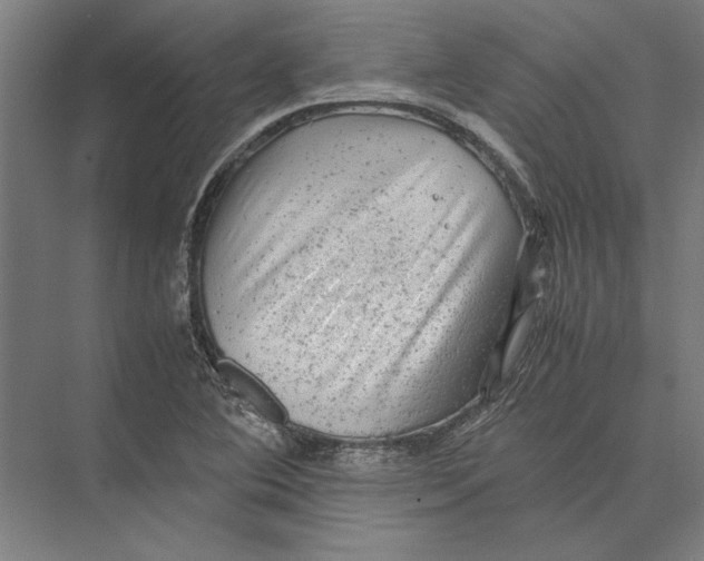 X0000075381364200610061828