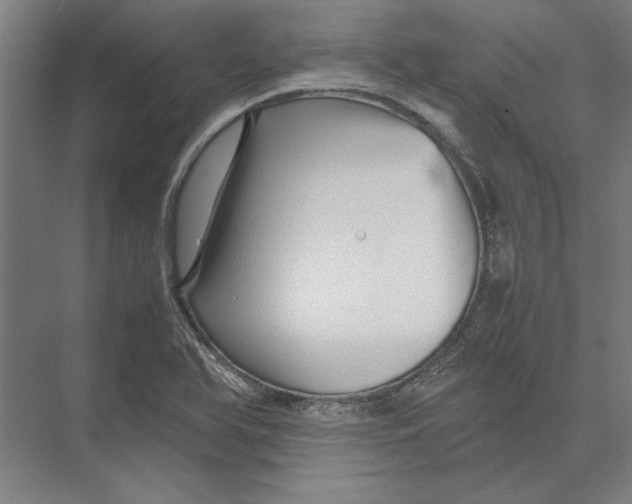 X0000075381366200610061828