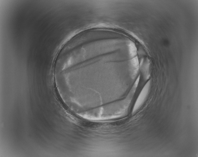 X0000075381367200610061828