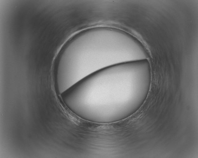 X0000075381368200610061828