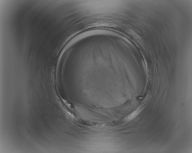 X0000075381369200610061828