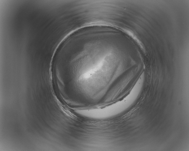 X0000075381372200610061828