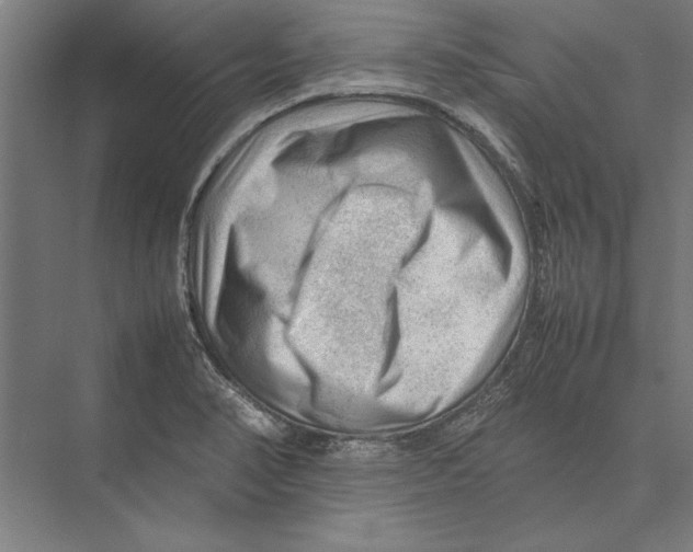 X0000075381374200610061828