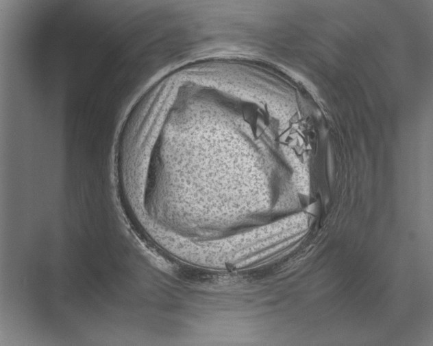 X0000075381375200610061828