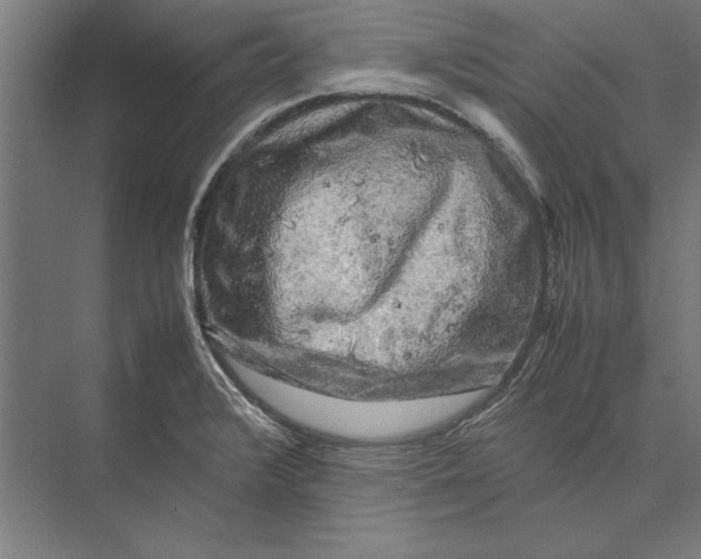 X0000075381376200610061828