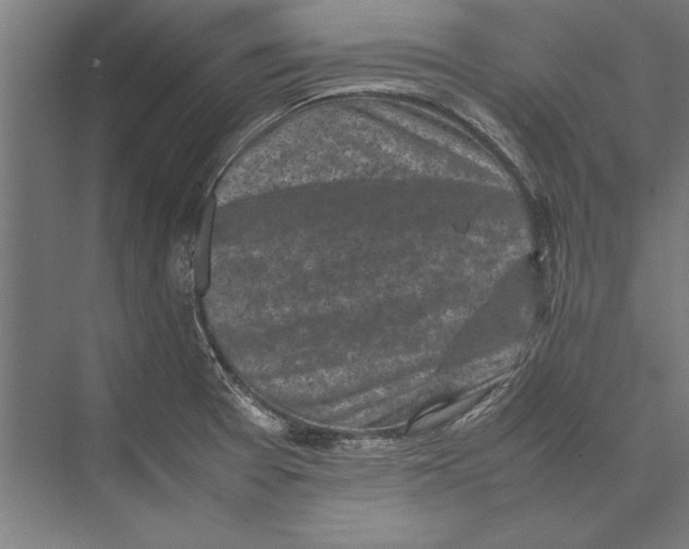 X0000075381377200610061828