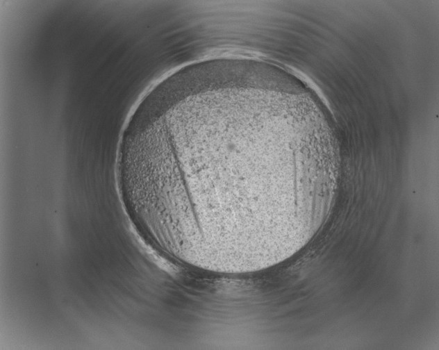 X0000075381379200610061827