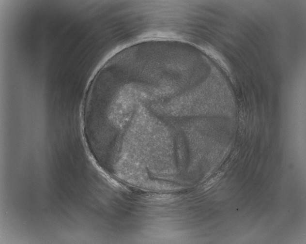 X0000075381382200610061827