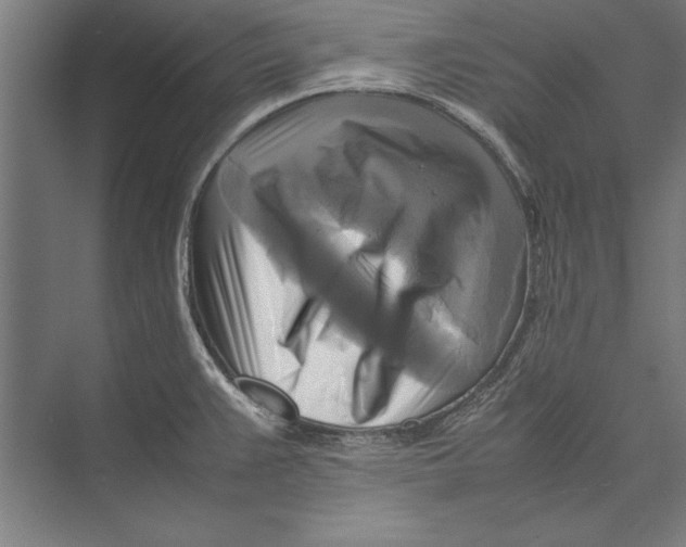 X0000075381383200610061827