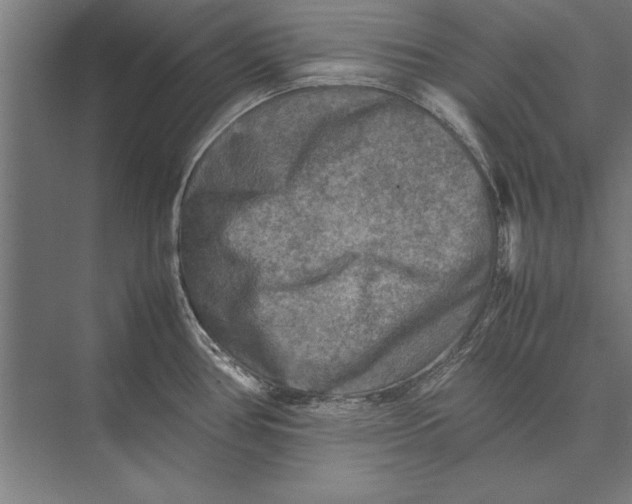 X0000075381386200610061827