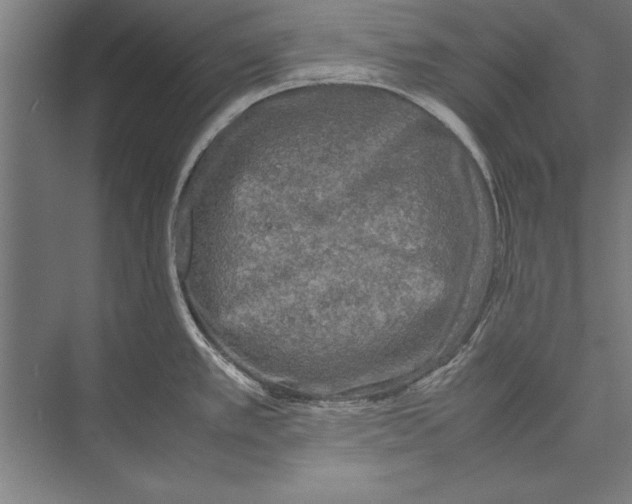 X0000075381389200610061827