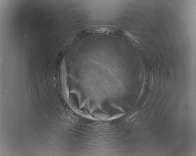 X0000075381394200610061826