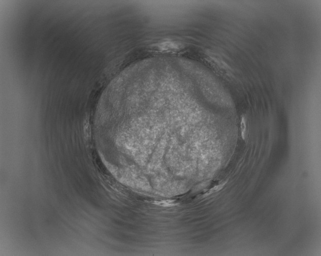 X0000075381395200610061826