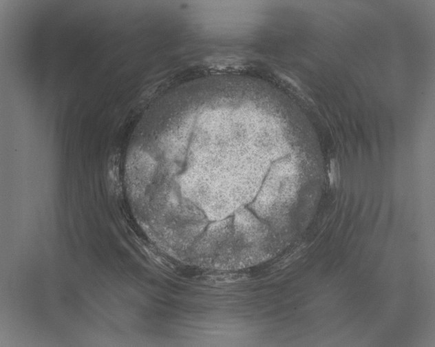 X0000075381396200610061826