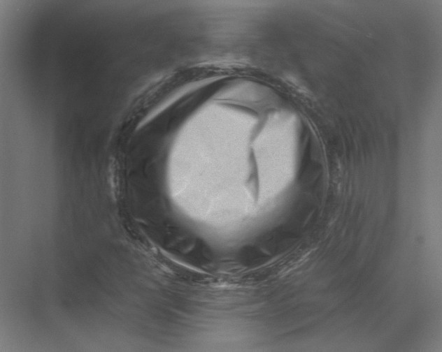 X0000075381398200610061827