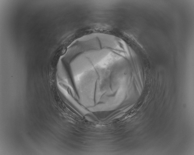 X0000075381399200610061827