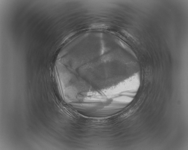 X0000075381401200610061827