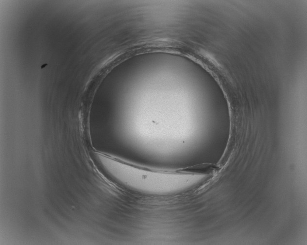 X0000075381402200610061827