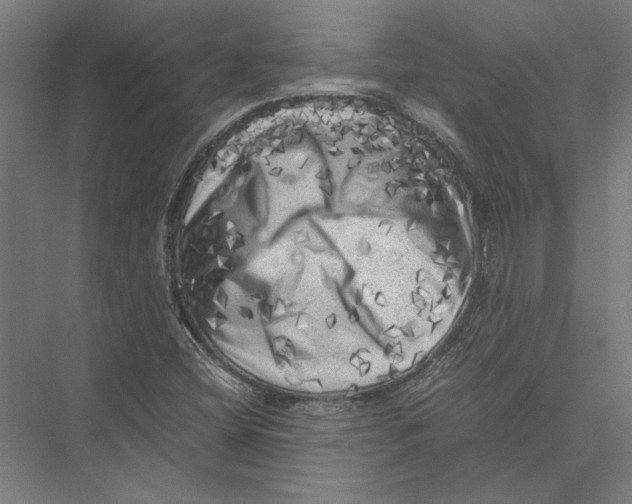 X0000075381404200610061827