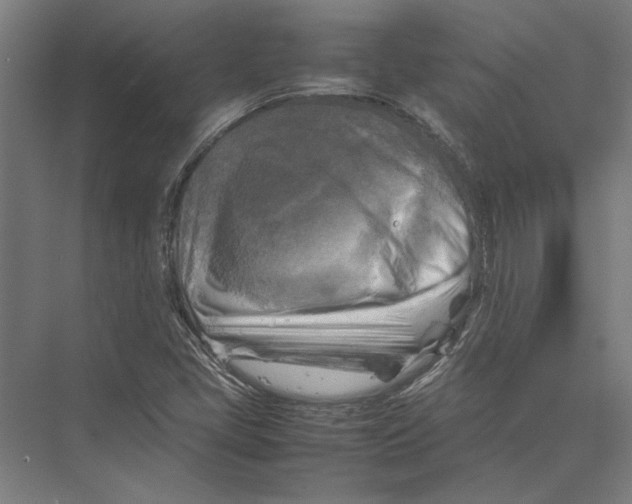 X0000075381405200610061827