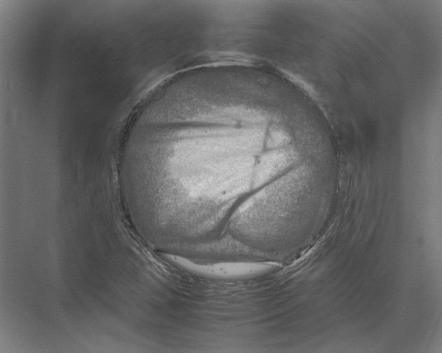 X0000075381407200610061827