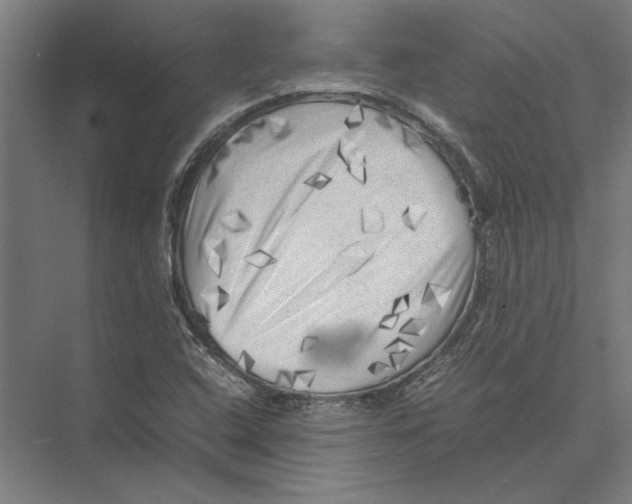 X0000075381408200610061827