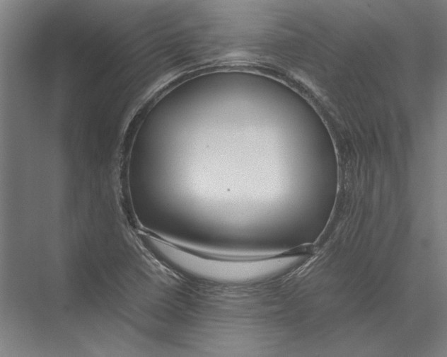 X0000075381410200610061827