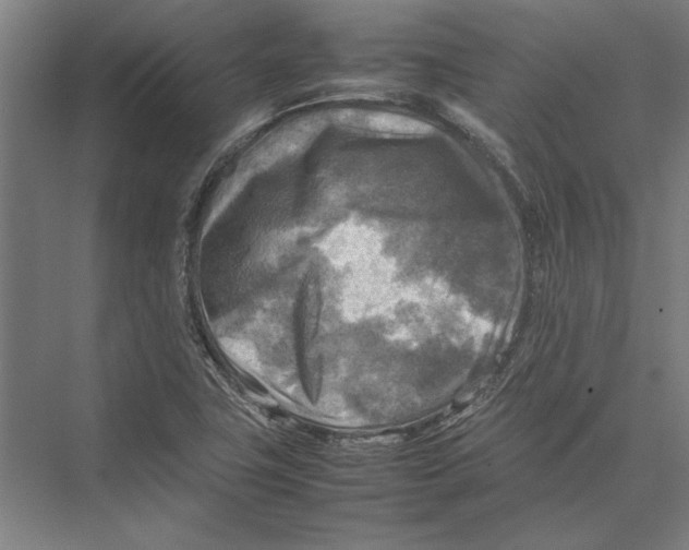 X0000075381411200610061827