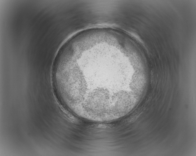 X0000075381412200610061827