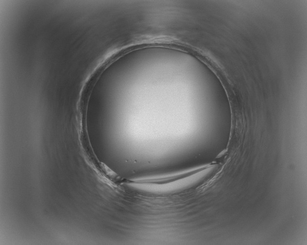 X0000075381414200610061827