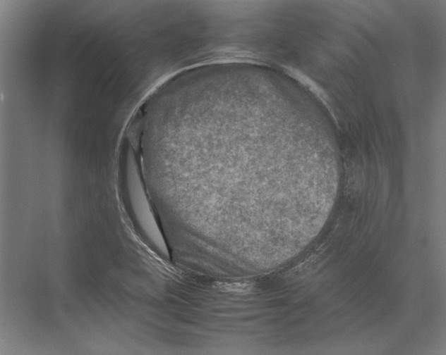 X0000075381415200610061827