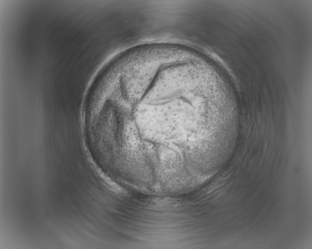 X0000075381416200610061827