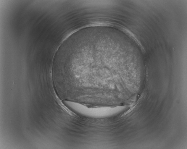 X0000075381417200610061827