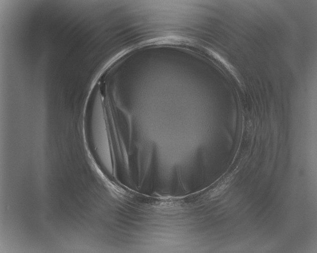 X0000075381418200610061827