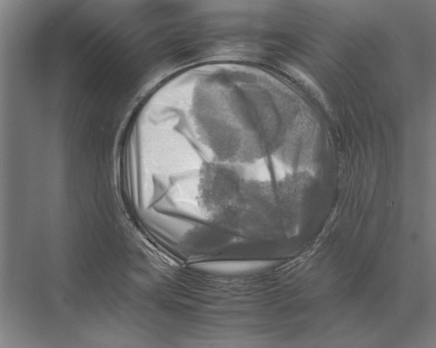 X0000075381419200610061827