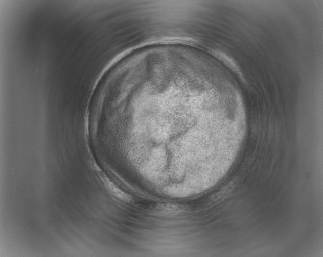 X0000075381420200610061827