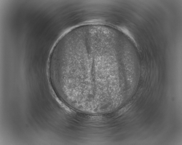 X0000075381421200610061827