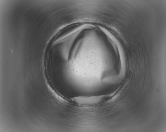 X0000075381422200610061827