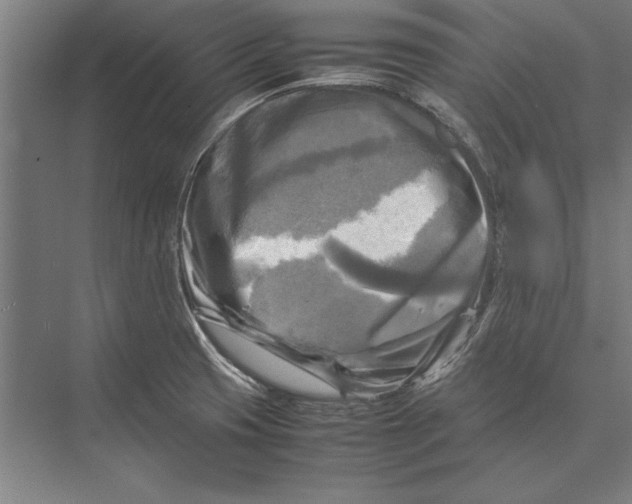 X0000075381425200610061827