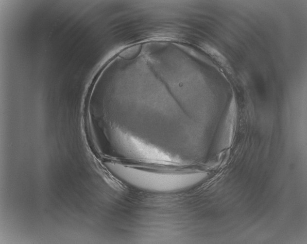 X0000075381427200610061827