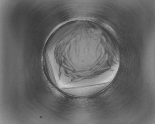 X0000075381428200610061827